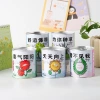 New blessing green plant potted plants, tomato seed cans, flower plants, desktop children's toys, DIY gifts wholesale Application Scenario